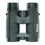 Bushnell Excursion HD 10x42