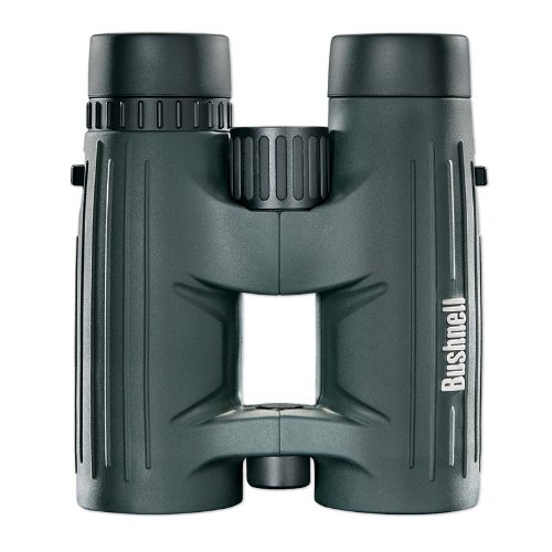 Bushnell Excursion HD 10x42