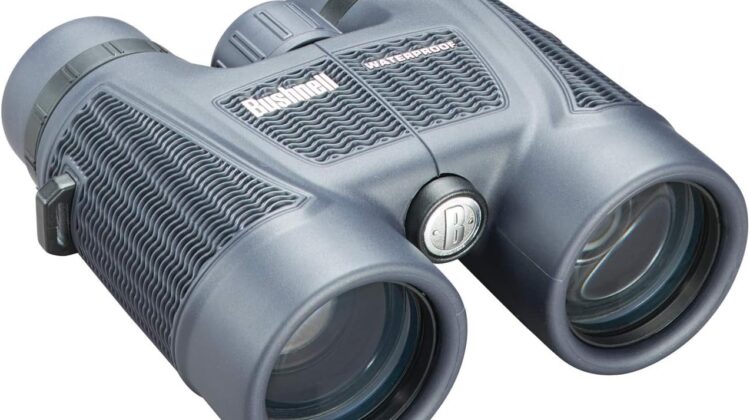 Bushnell H2O